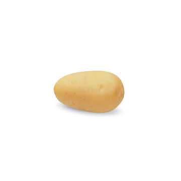 Vivaldi small.png